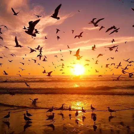 House Caparica Apartment *