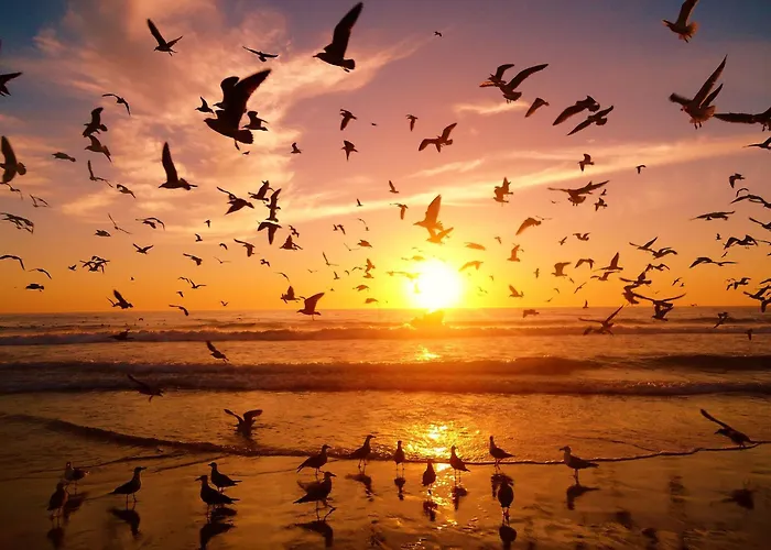 House Caparica Appartamento *